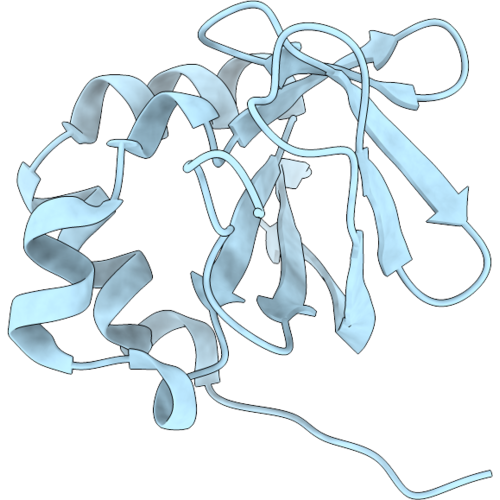 9NVT image