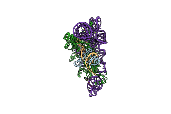 9NVU image