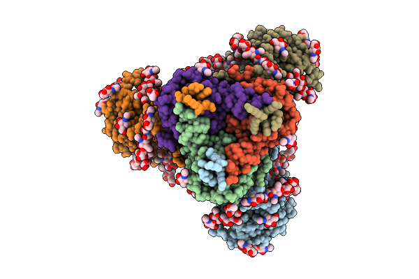 9NVV image