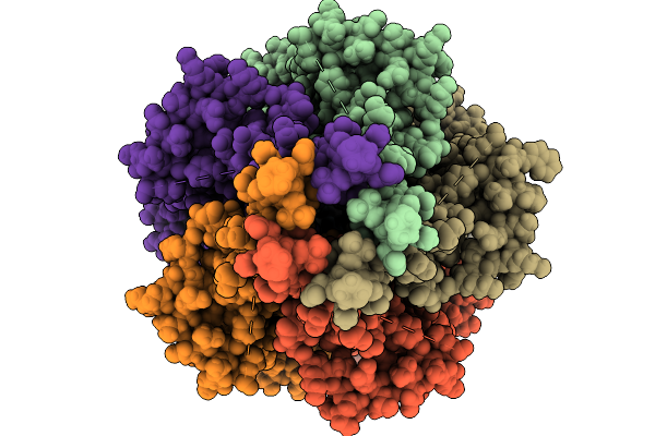 9NX1 image