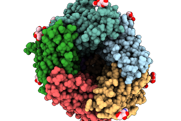 9NX2 image