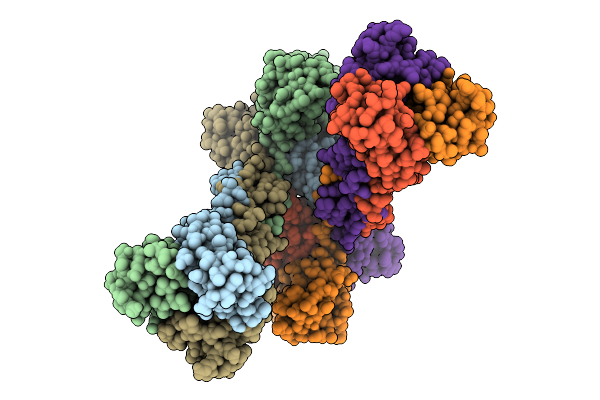 9NX3 image