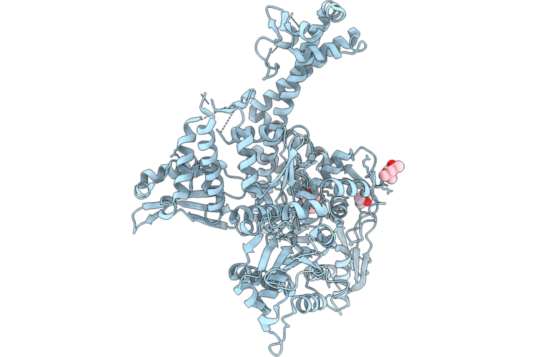 9NX5 image