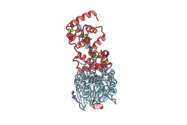9NXE image