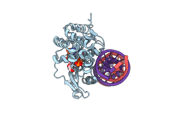 9NYB image
