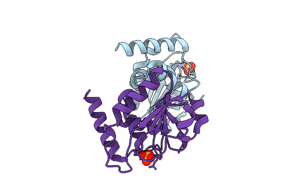 9NYM image