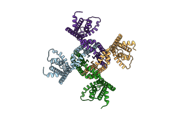 9O10 image