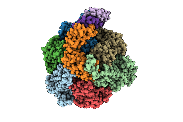 9O1C image