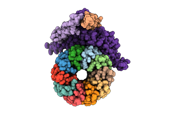 9O1E image