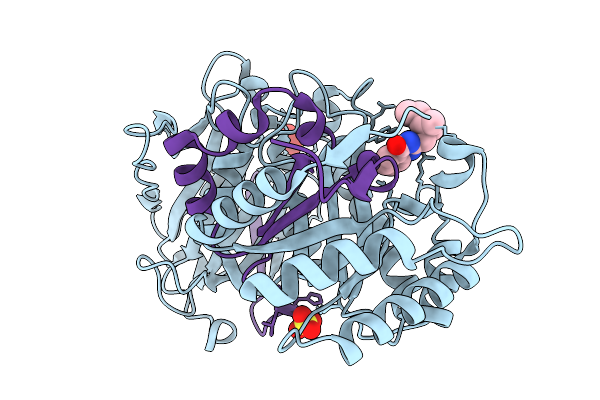9O24 image