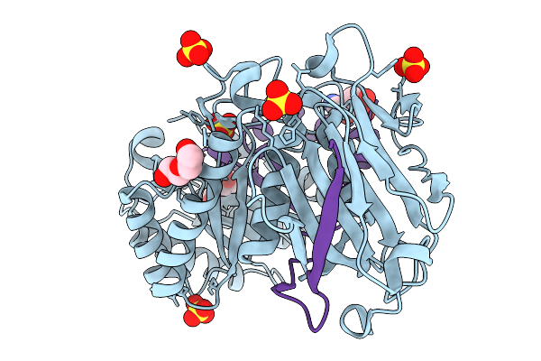 9O2D image