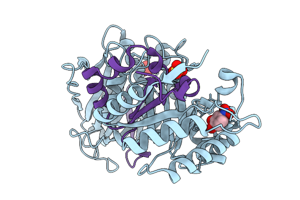 9O2E image