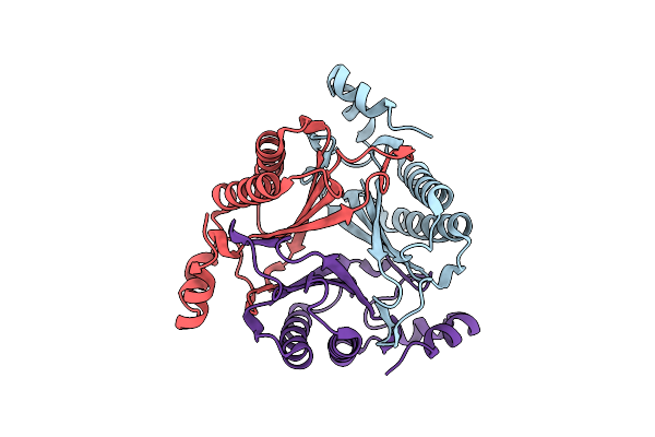 9O2N image