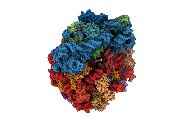 9O2X image