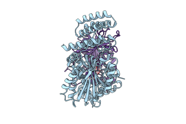 9O4J image