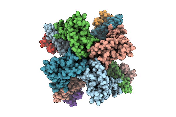 9O51 image