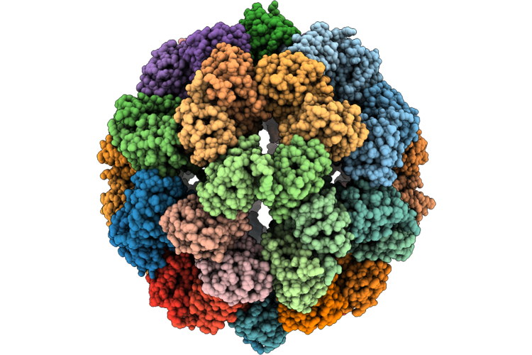 9O5L image