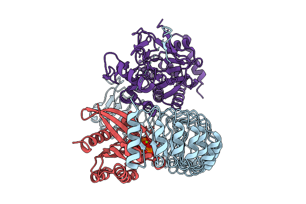 9O65 image