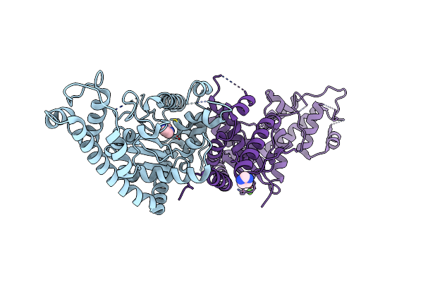 9O66 image