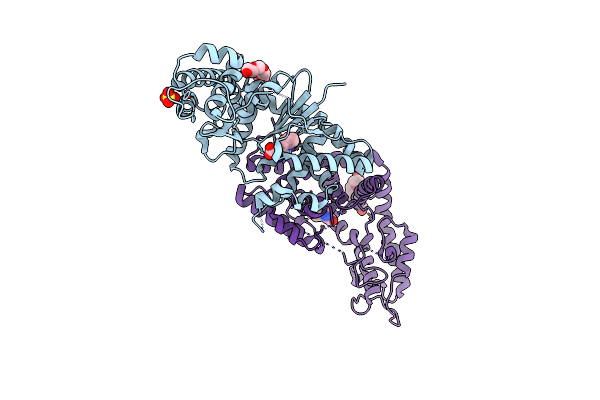 9O68 image