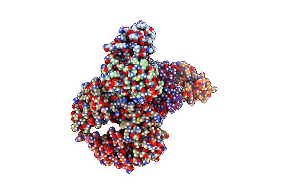 9O6C image