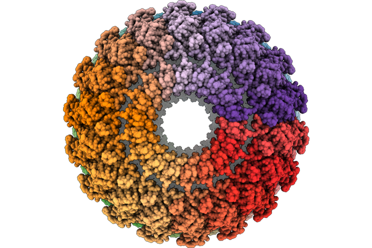 9O7M image