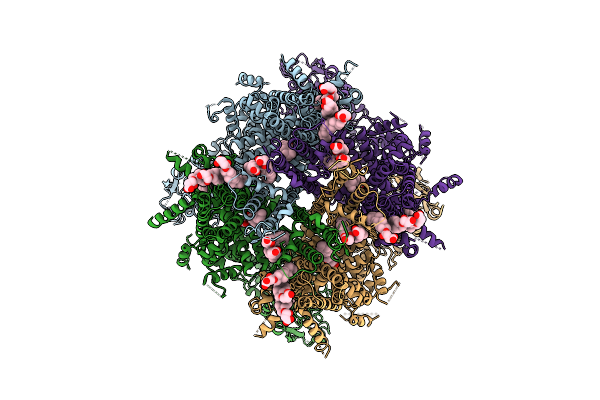 9O80 image