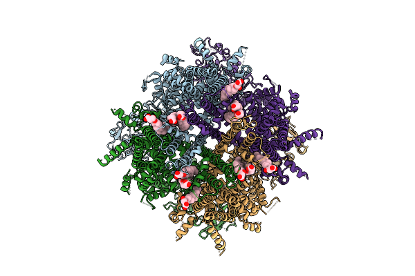 9O81 image