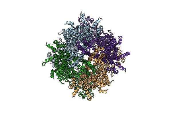 9O82 image