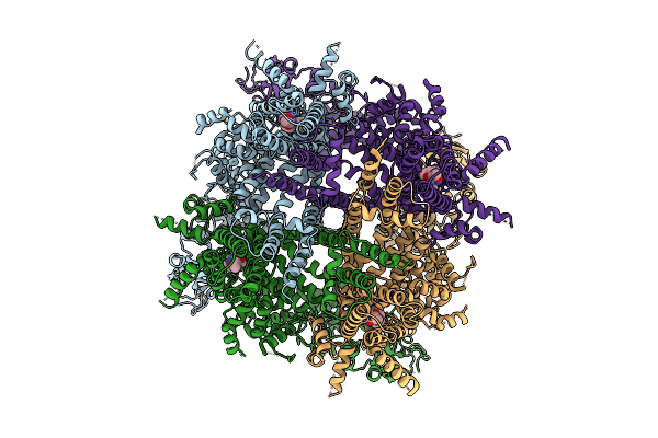 9O86 image