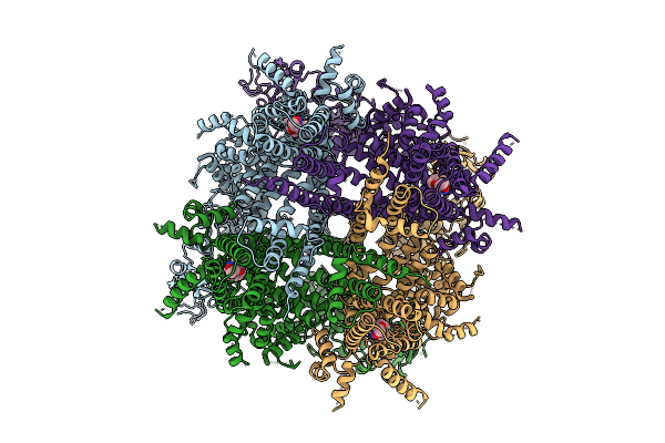 9O87 image
