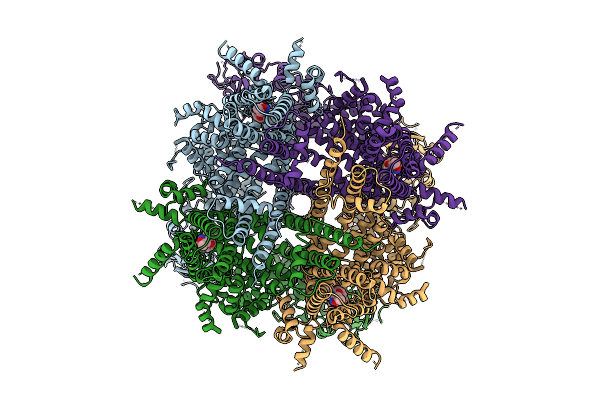 9O89 image