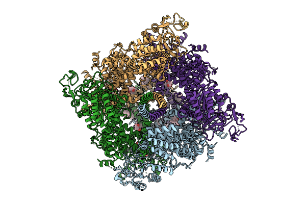 9O8C image
