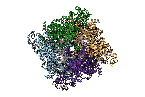 9O8F image