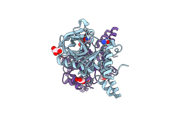 9O90 image