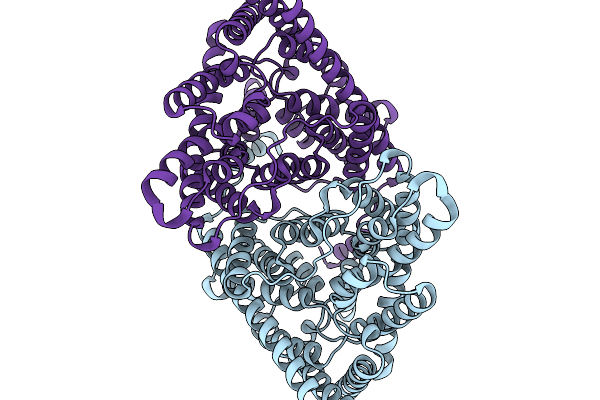 9O95 image