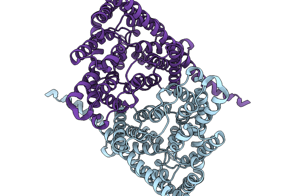 9O96 image