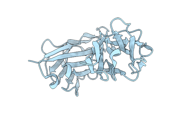 9O99 image