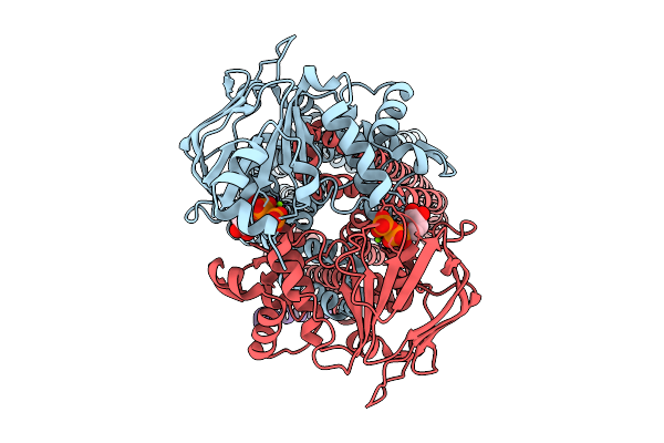 9O9D image