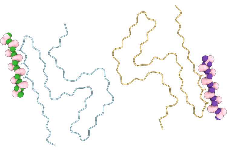 9O9J image