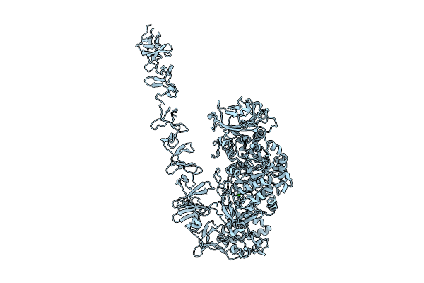 9O9P image