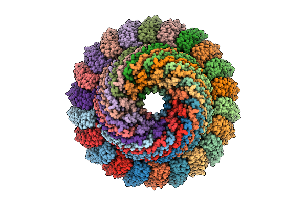 9OA0 image