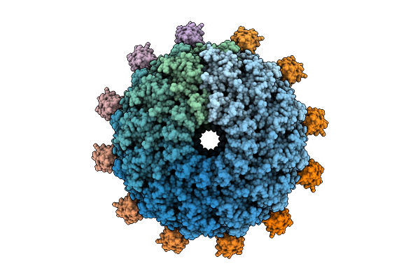 9OAB image