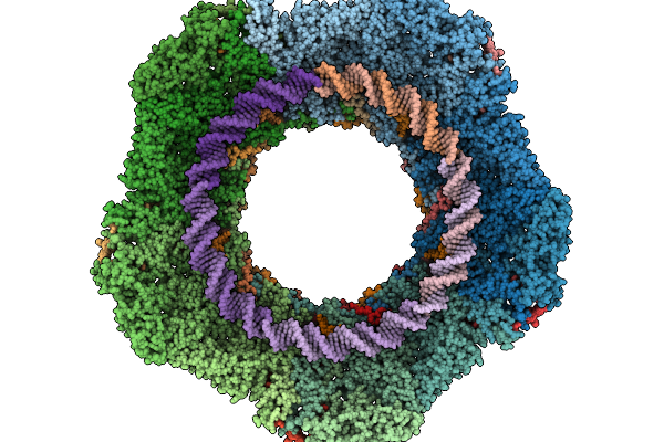 9OAC image