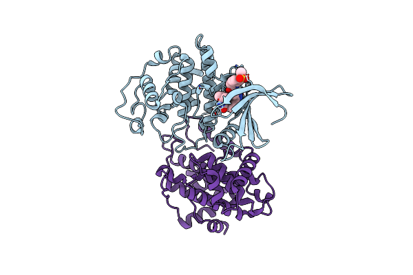 9OB2 image