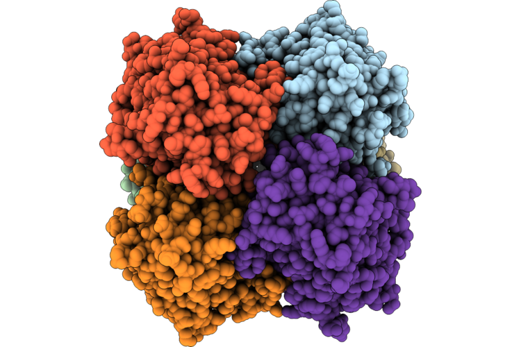 9OBR image