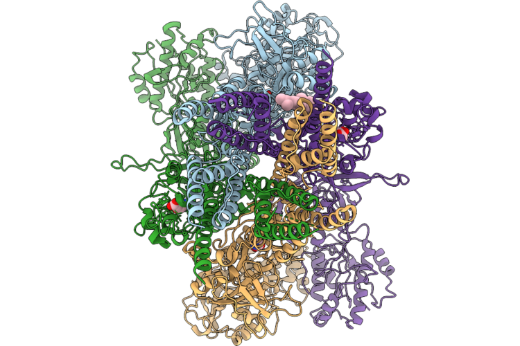 9OBS image