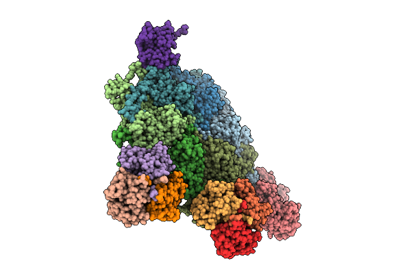 9OCB image