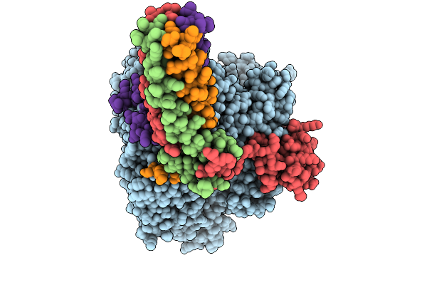 9OCF image