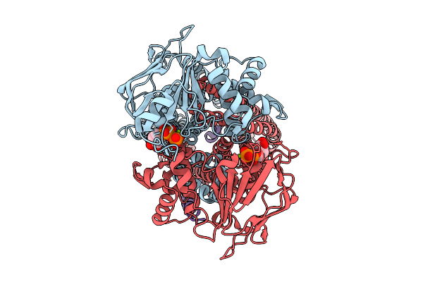 9OCI image